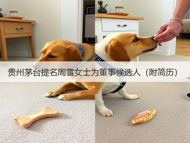 贵州茅台提名周雪女士为董事候选人（附简历）(图3)
