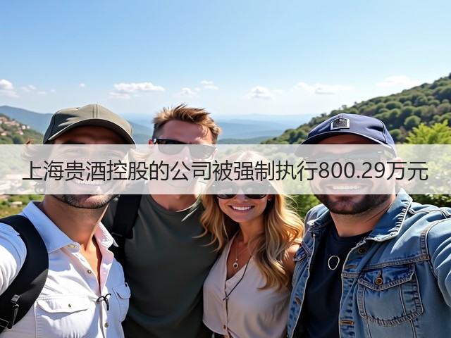 上海贵酒控股的公司被强制执行800.29万元(图1)