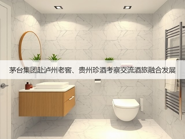 茅台集团赴泸州老窖、贵州珍酒考察交流酒旅融合发展(图4)