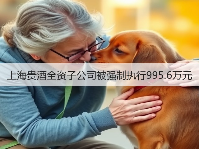 上海贵酒全资子公司被强制执行995.6万元(图5)