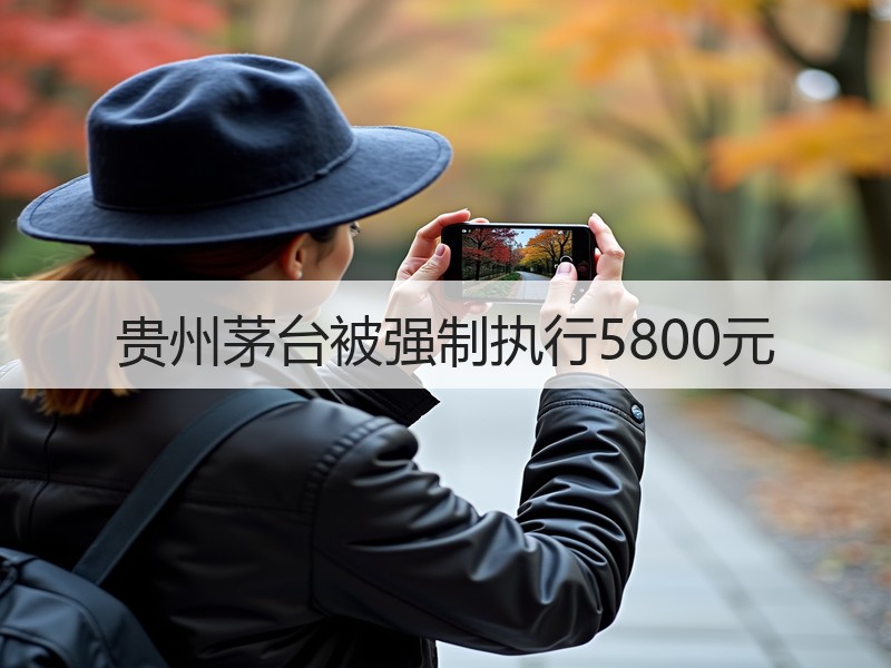 贵州茅台被强制执行5800元
