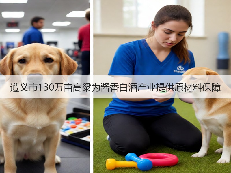 遵义市130万亩高粱为酱香白酒产业提供原