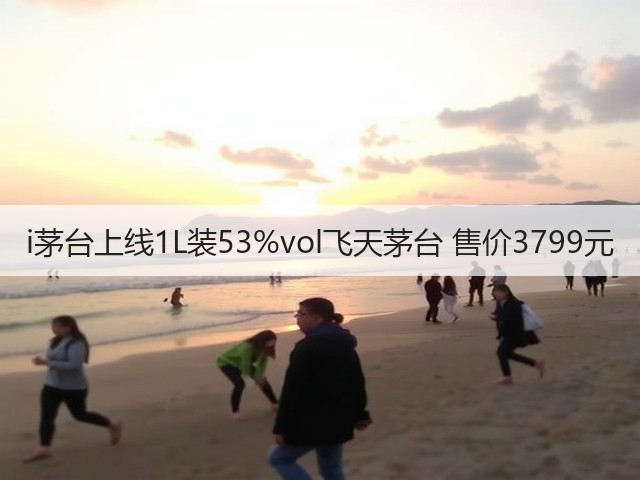 i茅台上线1L装53%vol飞天茅台 售价3799元(图2)