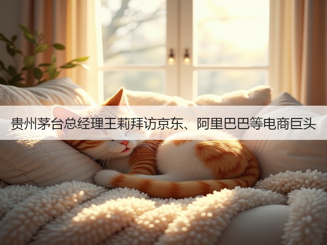 贵州茅台总经理王莉拜访京东、阿里巴巴等电商巨头(图1)