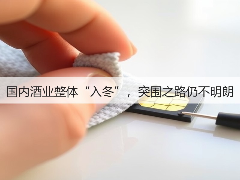 国内酒业整体“入冬”，突围之路仍不明朗