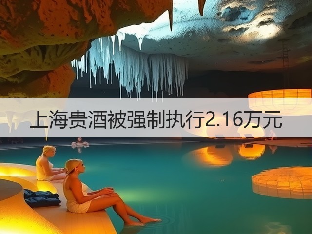 上海贵酒被强制执行2.16万元(图1)