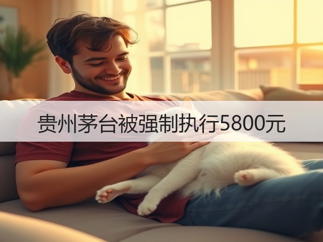 贵州茅台被强制执行5800元(图5)