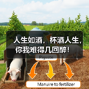人生如酒,杯酒人生,你我难得几回醉!(图1) 人生如酒,杯酒人生,你我难得几回醉!(图1)