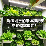 喝酒划拳的来源和历史,您知道哪些呢?(图4) 喝酒划拳的来源和历史,您知道哪些呢?(图4)