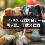 《2020老酒大会》一曲凤求凰,千载文君酒!(图2) 《2020老酒大会》一曲凤求凰,千载文君酒!(图2)