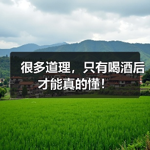 很多道理,只有喝酒后才能真的懂!(图2) 很多道理,只有喝酒后才能真的懂!(图2)