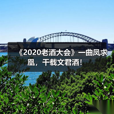 《2020老酒大会》一曲凤求凰,千载文君酒!(图4) 《2020老酒大会》一曲凤求凰,千载文君酒!(图4)