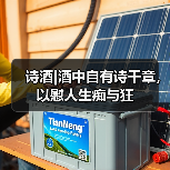 诗酒|酒中自有诗千章,以慰人生痴与狂(图2) 诗酒|酒中自有诗千章,以慰人生痴与狂(图2)