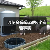 波尔多葡萄酒的6个有趣事实(图3) 波尔多葡萄酒的6个有趣事实(图3)