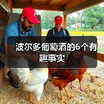 波尔多葡萄酒的6个有趣事实(图1) 波尔多葡萄酒的6个有趣事实(图1)