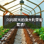 闪闪发光的澳大利亚葡萄酒!(图4) 闪闪发光的澳大利亚葡萄酒!(图4)
