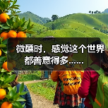 微醺时,感觉这个世界都善意得多......(图1) 微醺时,感觉这个世界都善意得多......(图1)