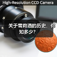 关于雪莉酒的历史,你知多少?(图2) 关于雪莉酒的历史,你知多少?(图2)