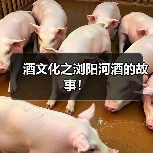 酒文化之浏阳河酒的故事!(图4) 酒文化之浏阳河酒的故事!(图4)
