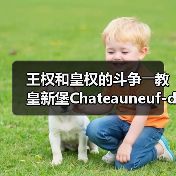 王权和皇权的斗争――教皇新堡Chateauneuf-du-Pape(图2) 王权和皇权的斗争――教皇新堡Chateauneuf-du-Pape(图2)