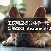 王权和皇权的斗争――教皇新堡Chateauneuf-du-Pape(图4) 王权和皇权的斗争――教皇新堡Chateauneuf-du-Pape(图4)