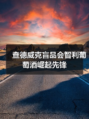 查德威克盲品会智利葡萄酒崛起先锋(图3) 查德威克盲品会智利葡萄酒崛起先锋(图3)