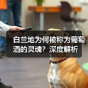 白兰地为何被称为葡萄酒的灵魂?深度解析(图2) 白兰地为何被称为葡萄酒的灵魂?深度解析(图2)