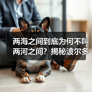两海之间到底为何不叫两河之间?揭秘波尔多葡萄酒产区的命名奥秘(图2) 两海之间到底为何不叫两河之间?揭秘波尔多葡萄酒产区的命名奥秘(图2)