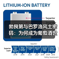 勃艮第与巴罗洛风土密码:为何成为葡萄酒世界的双雄?(图3) 勃艮第与巴罗洛风土密码:为何成为葡萄酒世界的双雄?(图3)