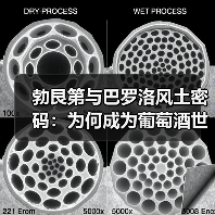 勃艮第与巴罗洛风土密码:为何成为葡萄酒世界的双雄?(图4) 勃艮第与巴罗洛风土密码:为何成为葡萄酒世界的双雄?(图4)