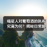 喵星人对葡萄酒的执着究竟为何?揭秘日常趣事(图2) 喵星人对葡萄酒的执着究竟为何?揭秘日常趣事(图2)