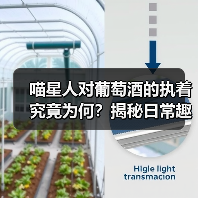 喵星人对葡萄酒的执着究竟为何?揭秘日常趣事(图3) 喵星人对葡萄酒的执着究竟为何?揭秘日常趣事(图3)