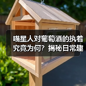 喵星人对葡萄酒的执着究竟为何？揭秘日常趣