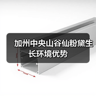 加州中央山谷仙粉黛生长环境优势(图4) 加州中央山谷仙粉黛生长环境优势(图4)