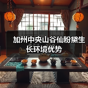 加州中央山谷仙粉黛生长环境优势(图2) 加州中央山谷仙粉黛生长环境优势(图2)