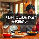 加州中央山谷仙粉黛生长环境优势(图3) 加州中央山谷仙粉黛生长环境优势(图3)