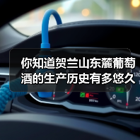 你知道贺兰山东麓葡萄酒的生产历史有多悠久吗？（图4）