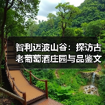 智利迈波山谷：探访古老葡萄酒庄园与品鉴文