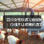 四川女性饮酒习俗揭秘:巾帼不让须眉的酒文化(图4) 四川女性饮酒习俗揭秘:巾帼不让须眉的酒文化(图4)