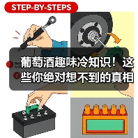 葡萄酒趣味冷知识！这些你绝对想不到的真相