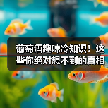 葡萄酒趣味冷知识！这些你绝对想不到的真相（图3）