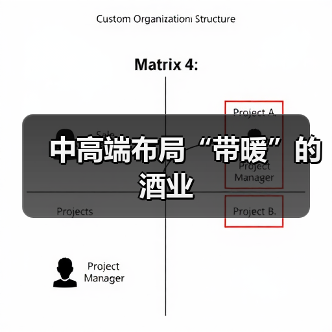 中高端布局“带暖”的酒业（图3）