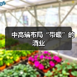 中高端布局“带暖”的酒业（图2）