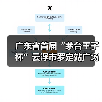 广东省首届“茅台王子杯”云浮市罗定站广场舞公益推广活动（图2）