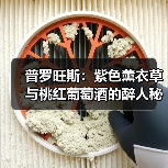 普罗旺斯：紫色薰衣草与桃红葡萄酒的醉人秘境（图2）