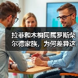 拉菲和木桐同属罗斯柴尔德家族，为何差异这么大？（图4）