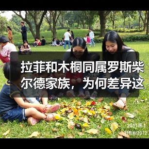 拉菲和木桐同属罗斯柴尔德家族，为何差异这么大？（图3）