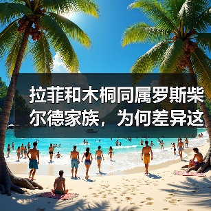 拉菲和木桐同属罗斯柴尔德家族，为何差异这么大？（图2）