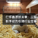 仁怀酱酒新未来：三强联手能否引领行业变革？（图3）