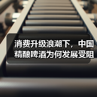 消费升级浪潮下，中国精酿啤酒为何发展受阻？（图2）